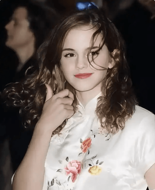 What is a QiPao(Cheongsam Dress)? - Jianxi Hanfu