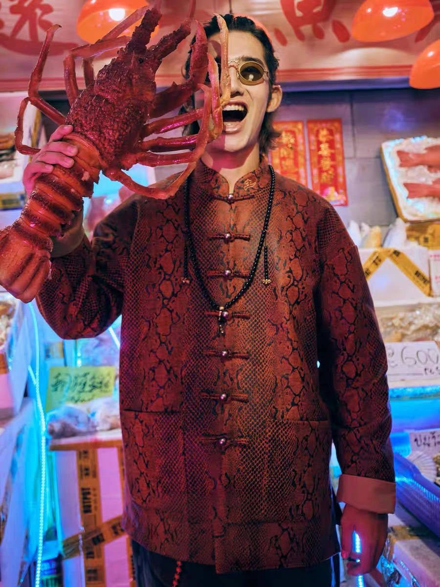 Tang Dynasty Modern Hanfu Tang Suit Jacket - Snake - Jianxi Hanfu