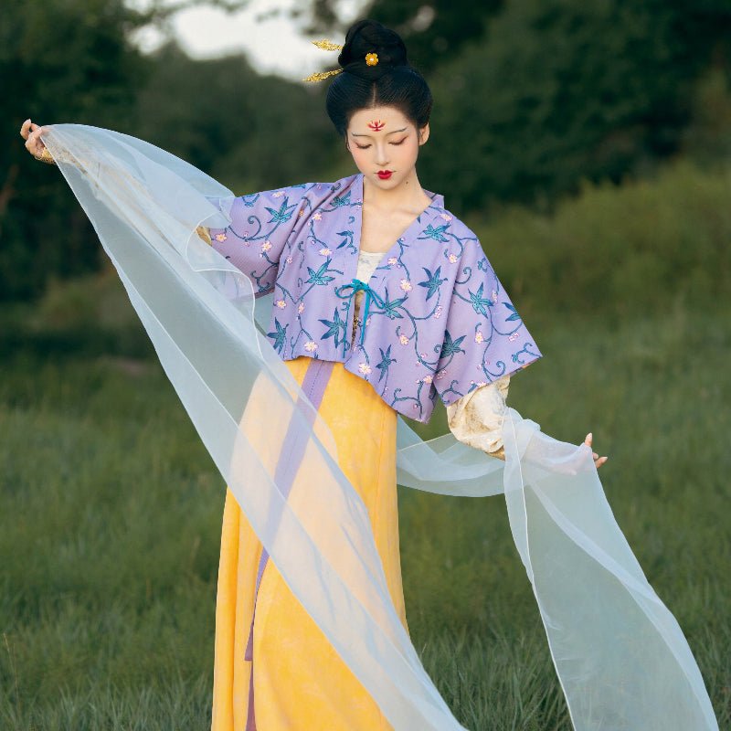 Chinese Tang Dynasty Women's Spring Autumn Hanfu Clothes Blue Dress