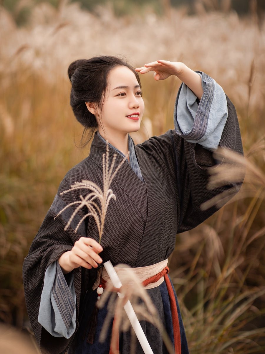 black ru shirt northern wei dynasty clothing women's hanfu -Jianxi Hanfu