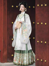 Chinese Hanfu Ming Dynasty Mamian Skirt - Qiang Wei - Jianxi Hanfu