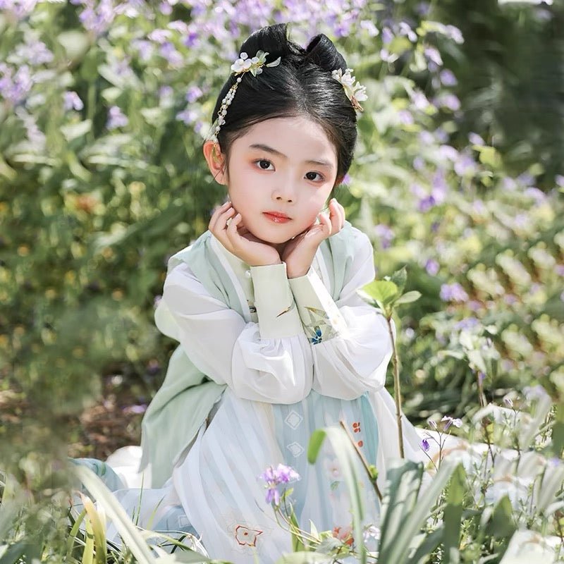 Girls' Song Dynasty Hanfu - Jianxi Hanfu