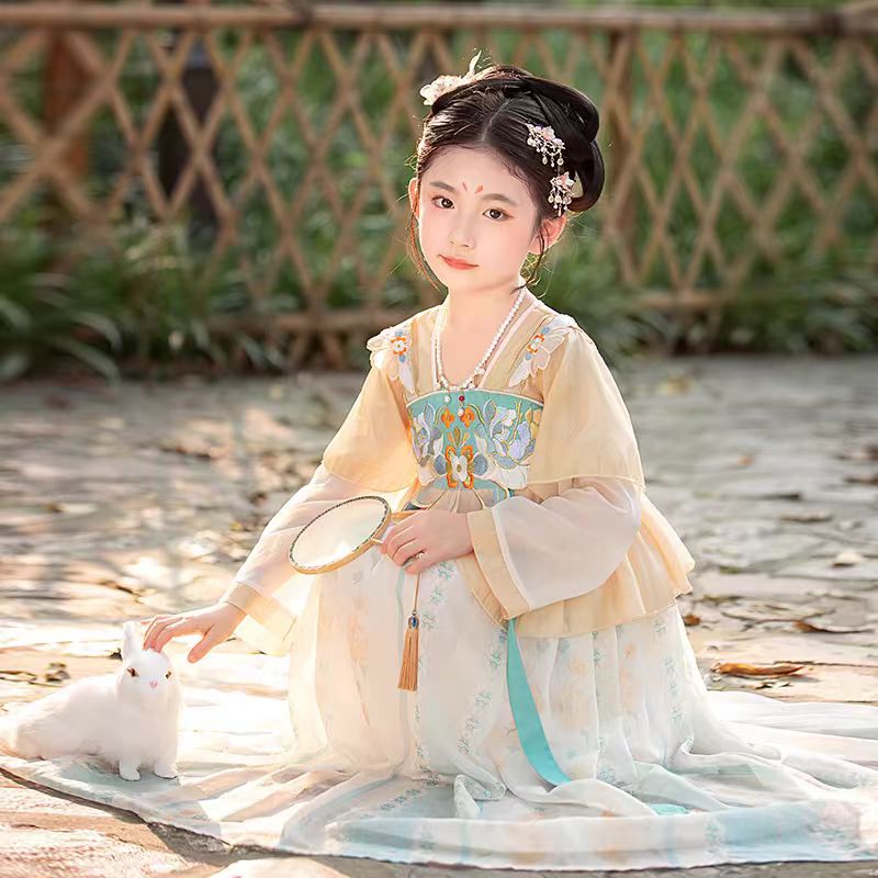 Girls' Tang Dynasty Hanfu Ruqun - Li Qiu - Jianxi Hanfu