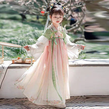 Girls' Tang Dynasty Hanfu Ruqun - Qing Mei - Jianxi Hanfu