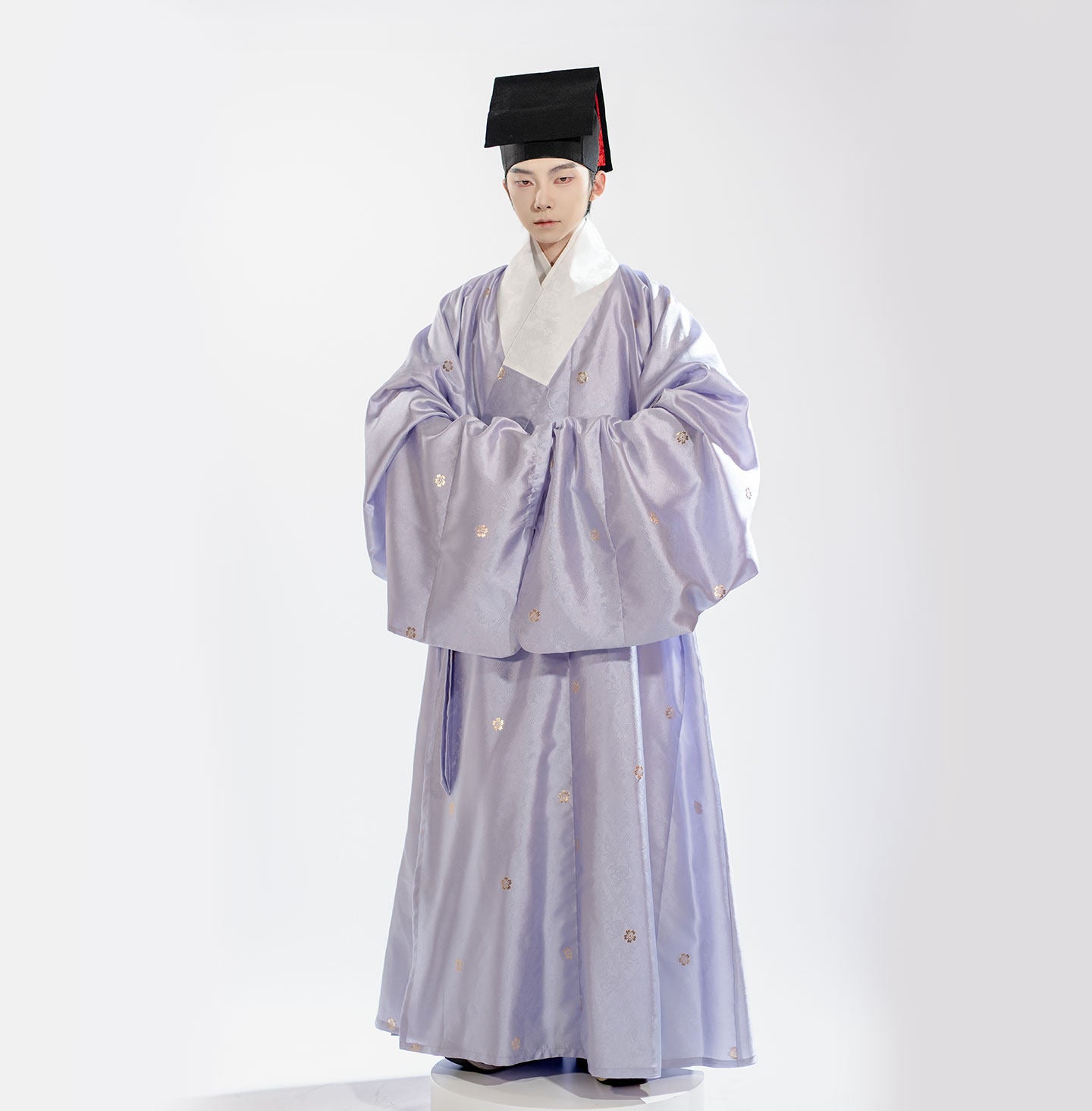 ming dynasty Scholarly Literati Men's piurple Hanfu robe - Jianxi Hanfu