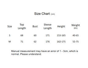 Chinese women's shirt northern wei dynasty clothing - Jianxi Hanfu