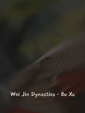 wei jin dynasty hanfu poqun-jianxi hanfu