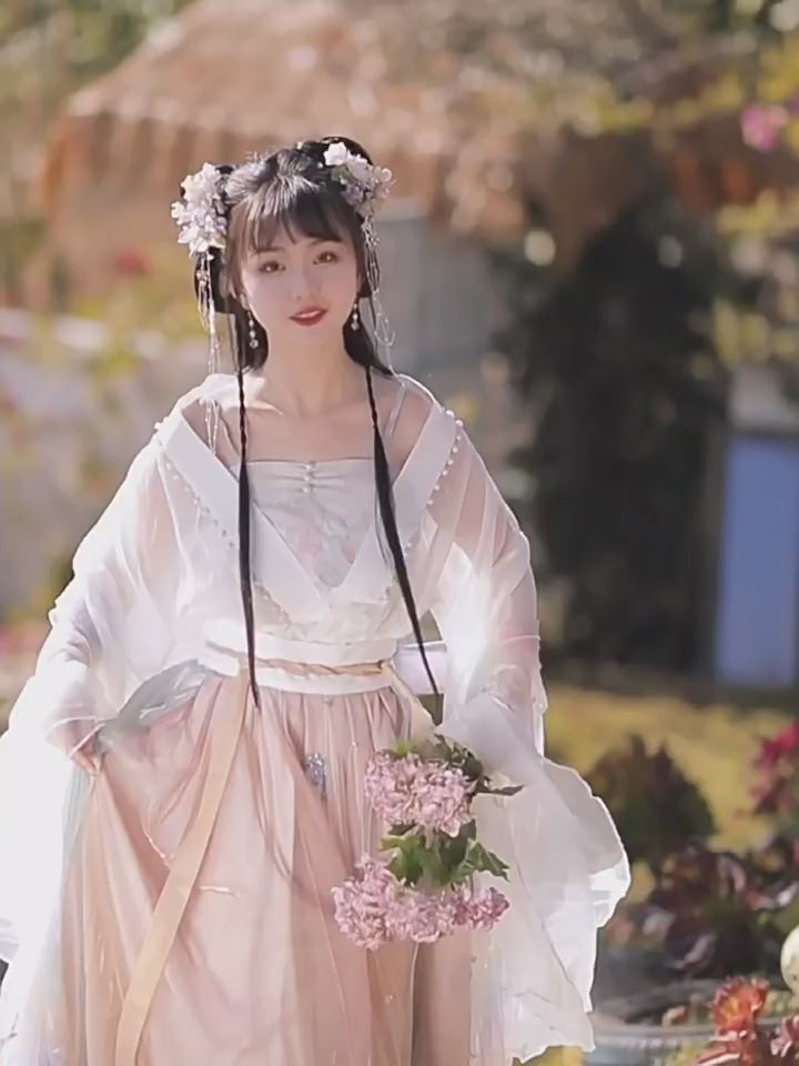 Wei and Jin Dynasty Clothing Poqun-Jianxi Hanfu