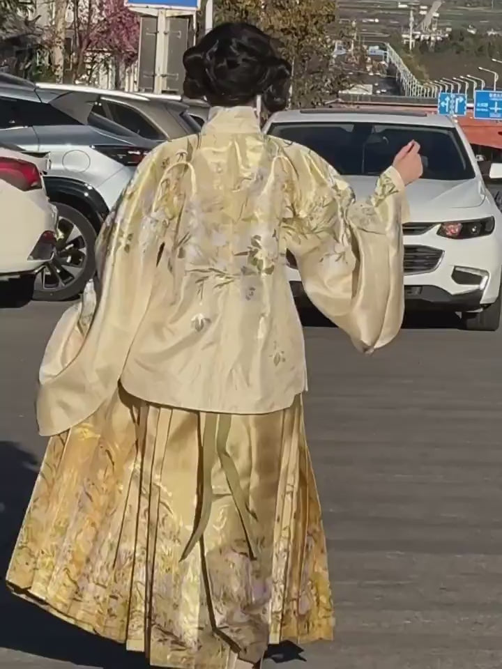 yellow mamian skirt girls dress -Jianxi Hanfu