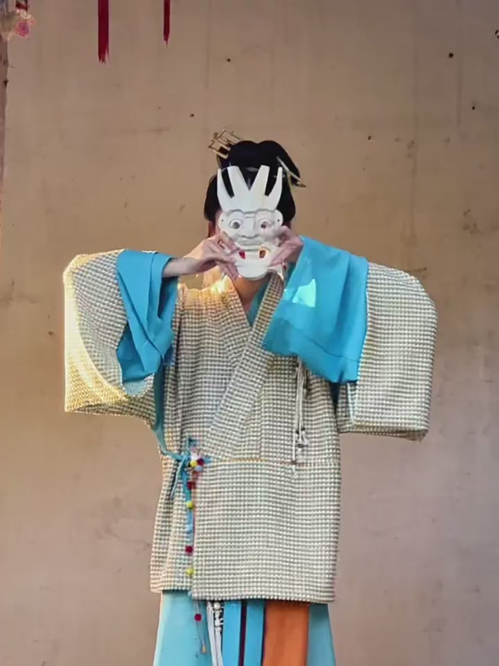 wei jin dynasty women's hanfu ruqun bapoqun girls' dress-Jianxi Hanfu