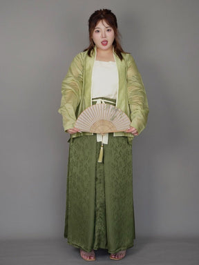 chinese song dynasty cloth women's plus size shoes green sanjian ruqun dress - Jianxi Hanfu