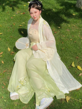 chinese song dynasty women's plus size hanfu summer clothes - Jianxi Hanfu