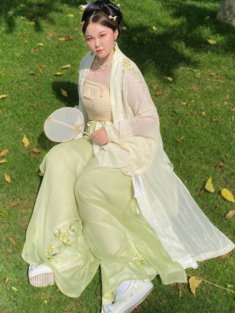chinese song dynasty women's plus size hanfu summer clothes - Jianxi Hanfu
