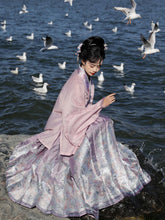 pink hanfu dress mamian skirt girls clothes-Jianxi Hanfu