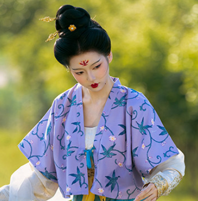 tang dynasty women's purple beizi shirt hanfu clothes - Jianxi Hanfu