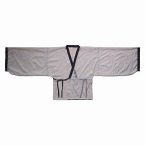 Shenyi Wei and Jin Dynasty Clothing Poqun-Jianxi Hanfu